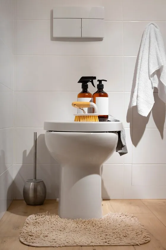 Expert toilet repair and installation in Chatham-Kent