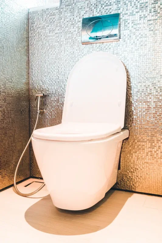 Professional toilet repair and installation in Chatham-Kent
